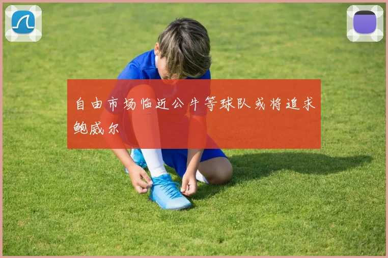 自由市场临近公牛等球队或将追求鲍威尔